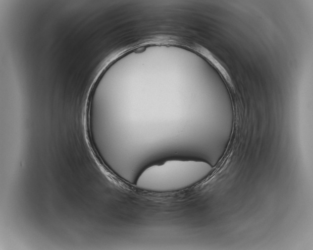 X0000116560861200912100942