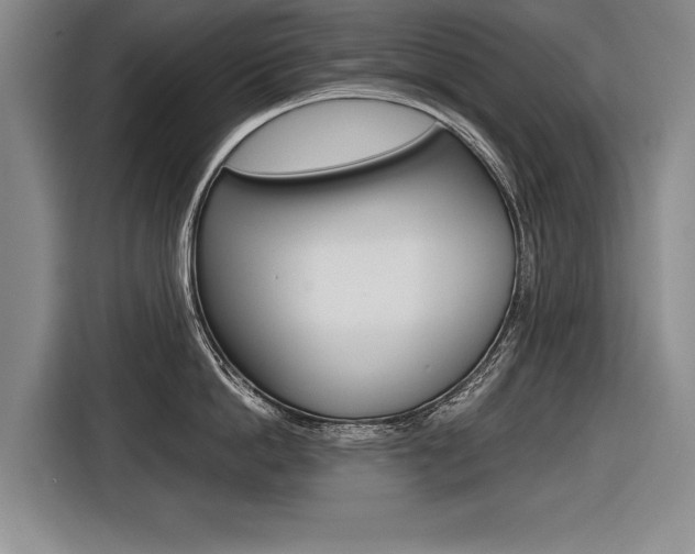 X0000116560862200912100942