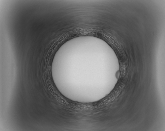 X0000116560865200912100941