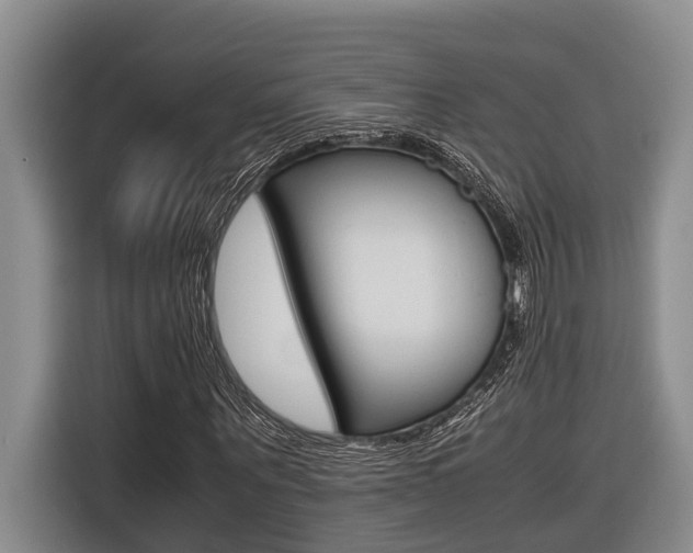 X0000116560867200912100941