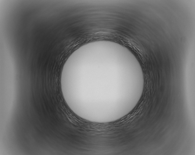 X0000116560868200912100941