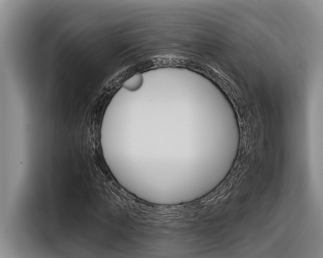 X0000116560870200912100941