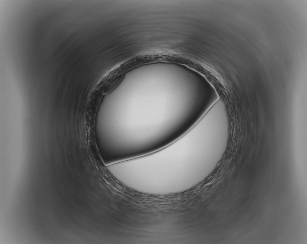 X0000116560872200912100941