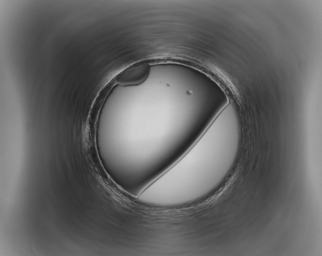 X0000116560876200912100941
