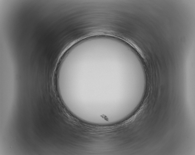 X0000116560877200912100941