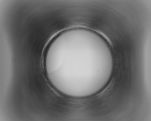 X0000116560878200912100941