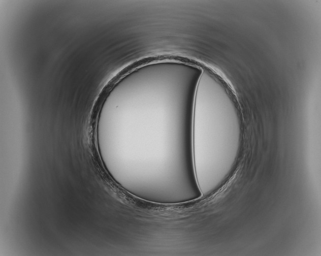 X0000116560879200912100941