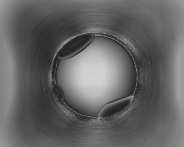 X0000116560880200912100941
