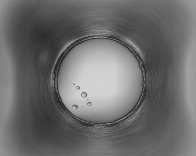 X0000116560883200912100941