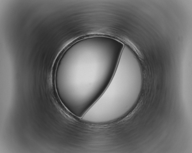 X0000116560884200912100941