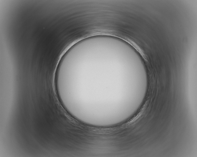 X0000116560885200912100941