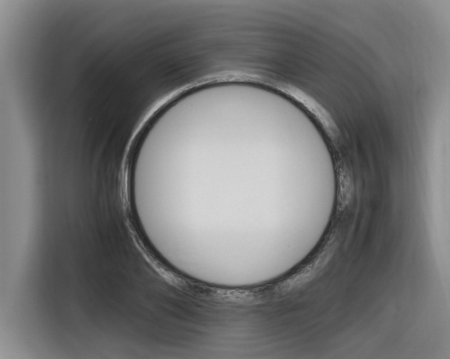 X0000116560886200912100941