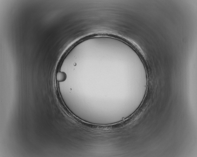 X0000116560887200912100941