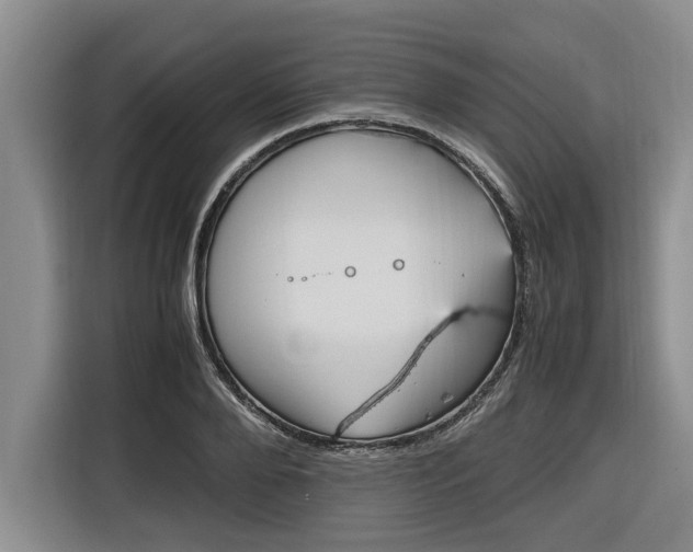 X0000116560888200912100941