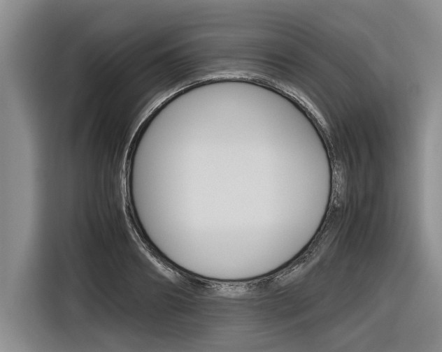 X0000116560890200912100941