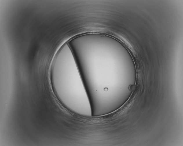 X0000116560891200912100941
