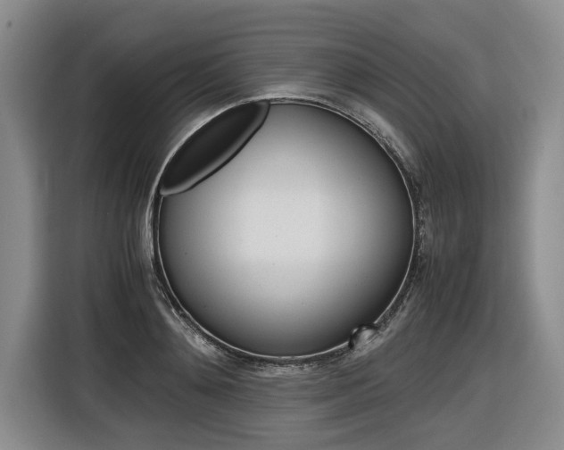 X0000116560892200912100941
