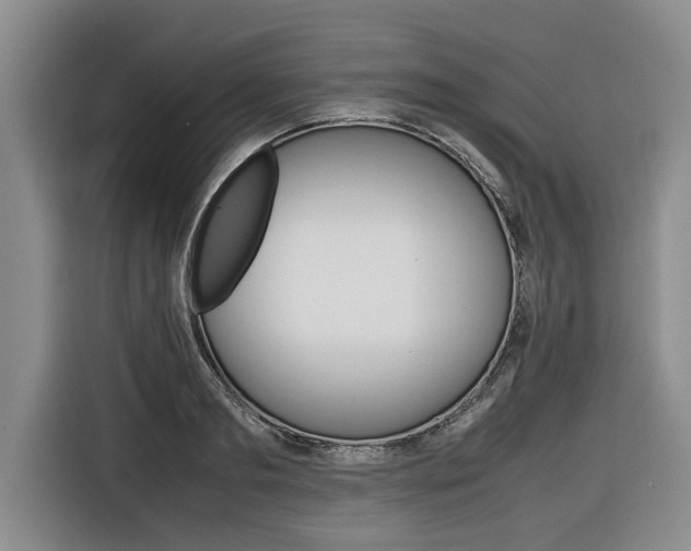X0000116560893200912100941