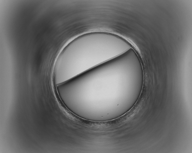 X0000116560895200912100941