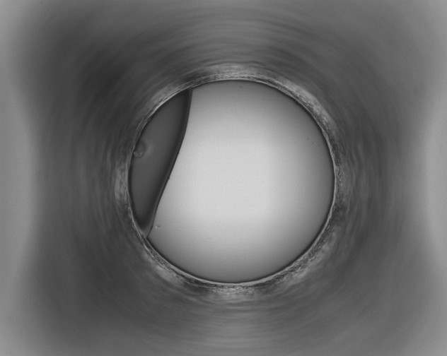 X0000116560897200912100941