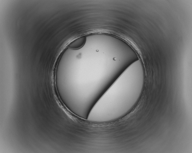 X0000116560898200912100941