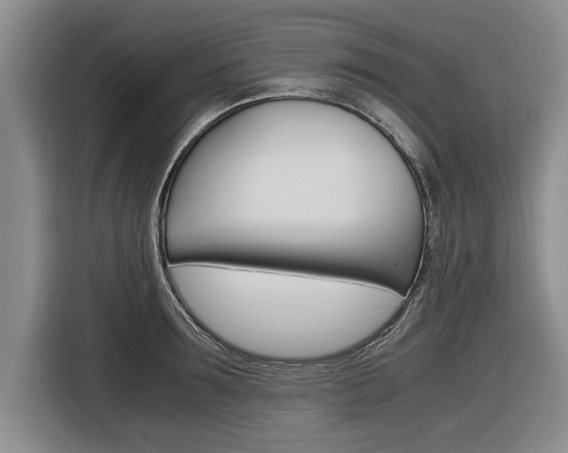 X0000116560899200912100941