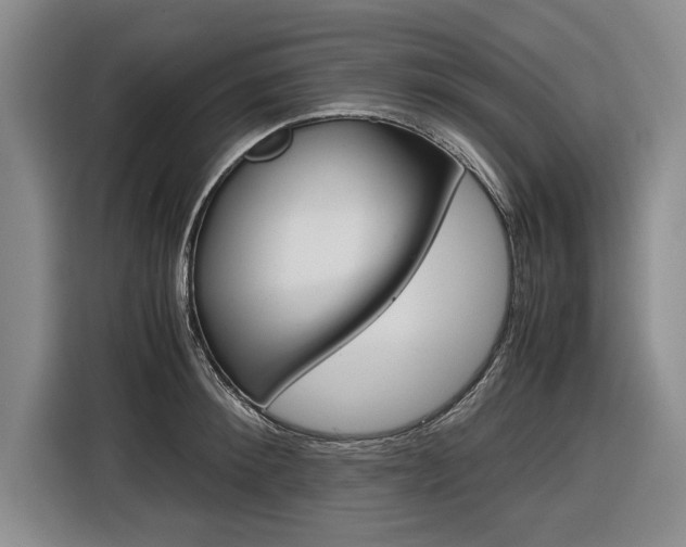 X0000116560900200912100941