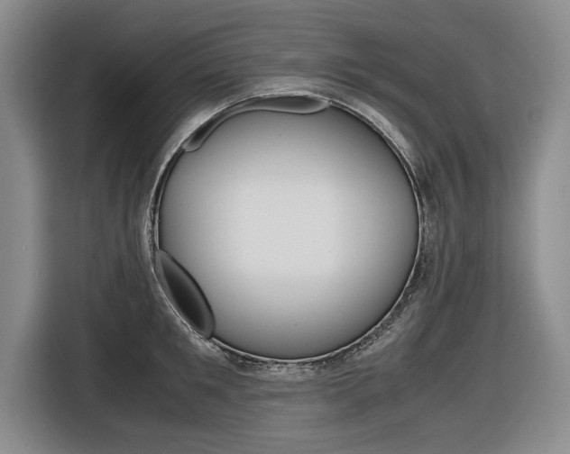 X0000116560901200912100941