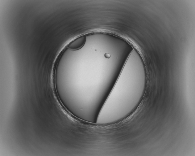 X0000116560902200912100941
