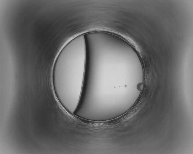 X0000116560903200912100941