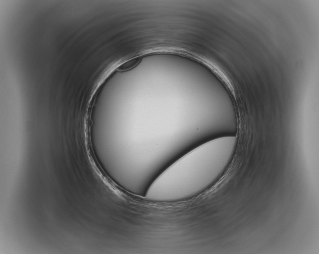 X0000116560906200912100941