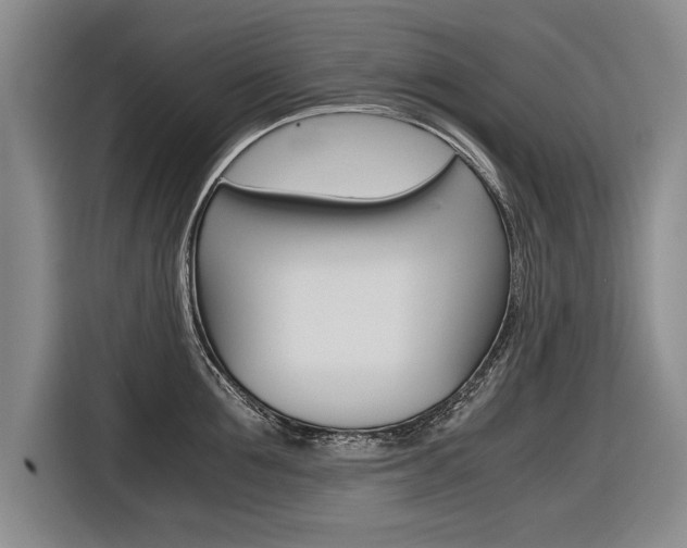 X0000116560907200912100941