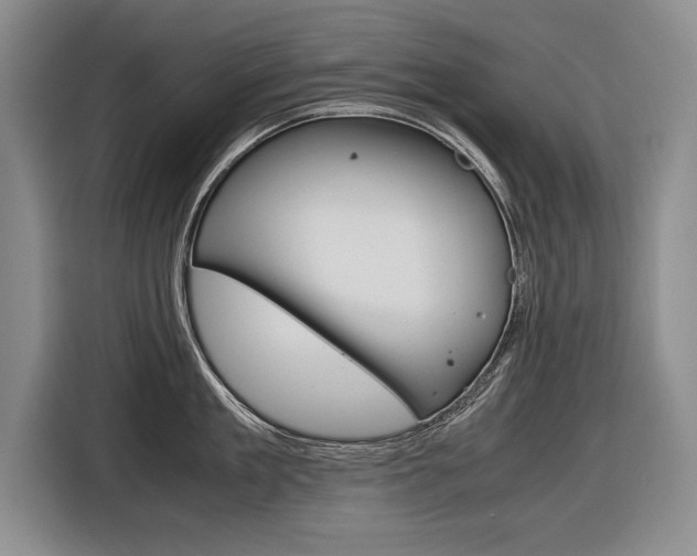 X0000116560909200912100941