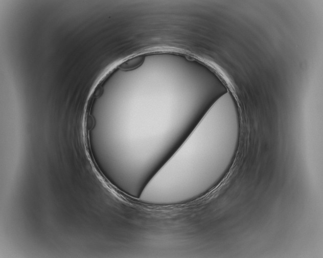X0000116560910200912100941