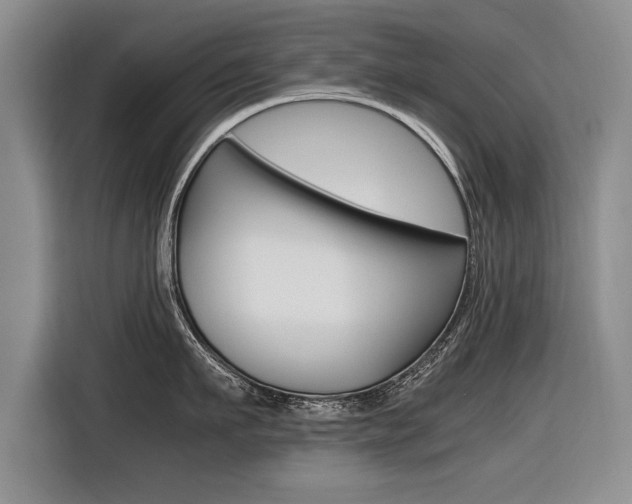 X0000116560911200912100941