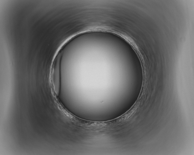 X0000116560912200912100941