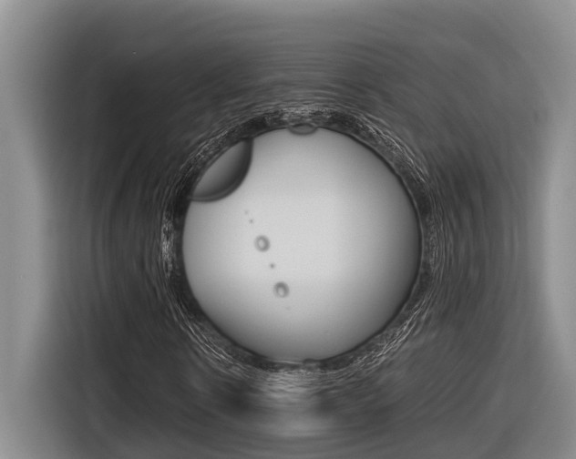 X0000116560914200912100940