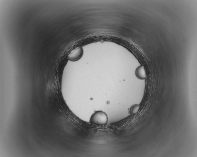 X0000116560918200912100940