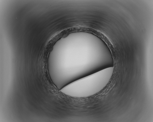 X0000116560919200912100940