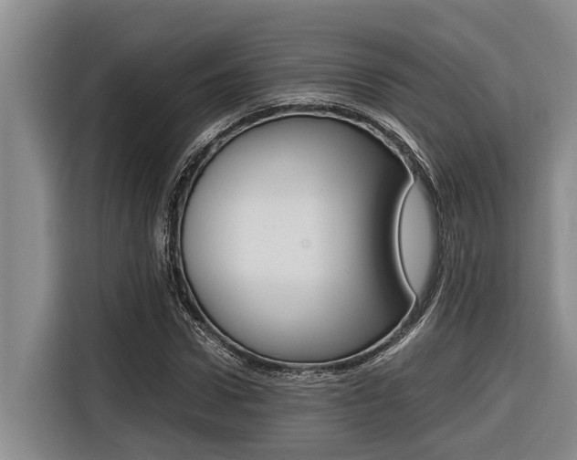 X0000116560922200912100940