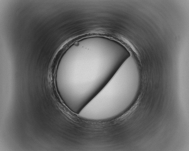 X0000116560923200912100940