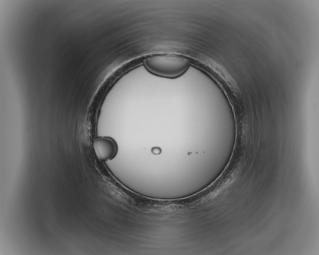 X0000116560926200912100940