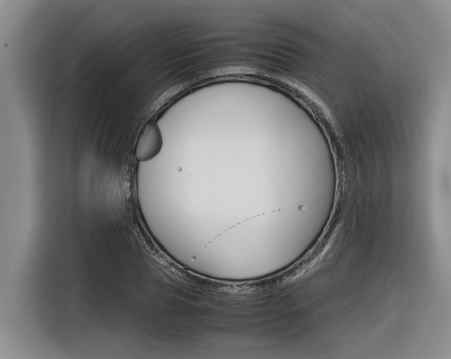 X0000116560929200912100940