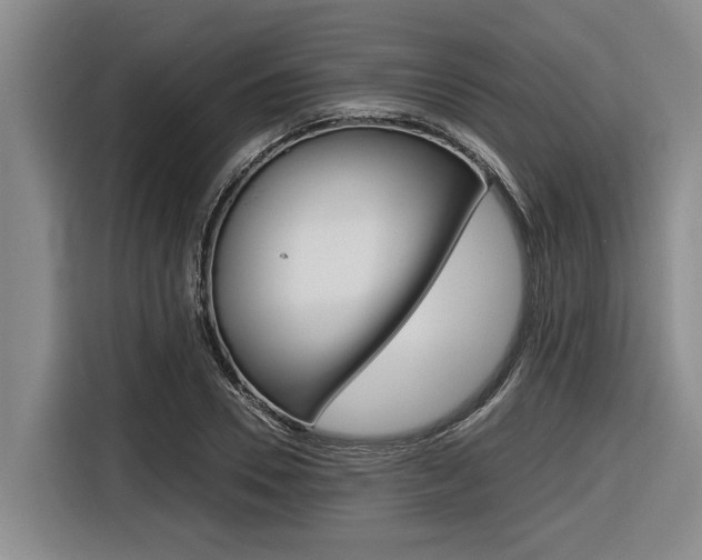 X0000116560930200912100940