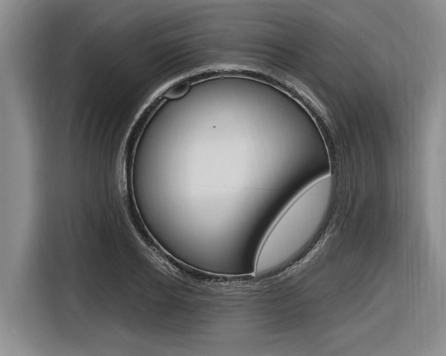 X0000116560934200912100940