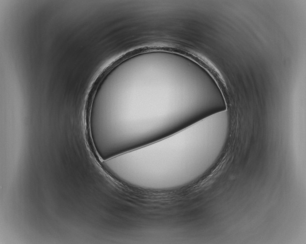 X0000116560935200912100940