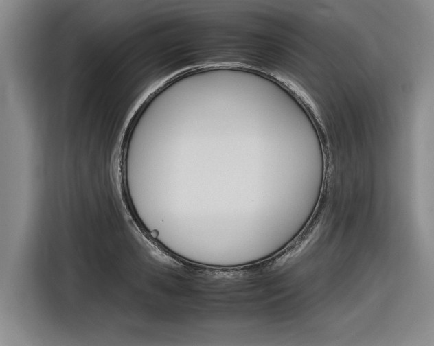 X0000116560941200912100940