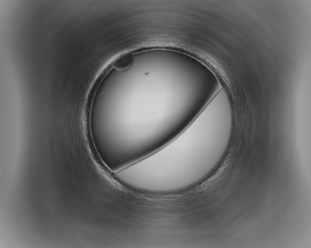 X0000116560942200912100940
