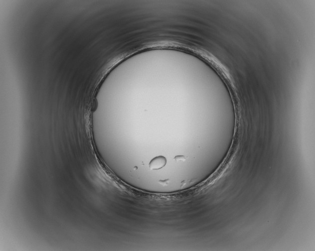 X0000116560945200912100941