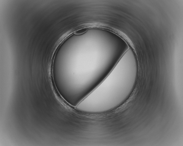 X0000116560946200912100941